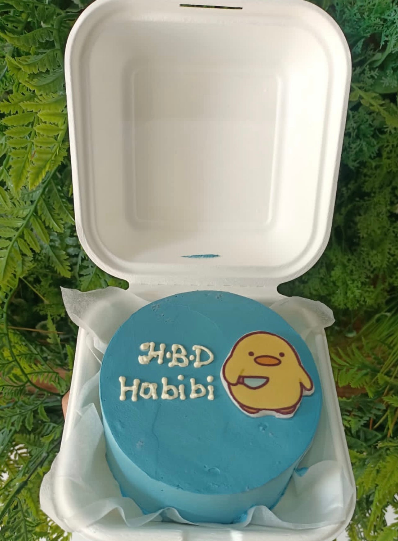 Bento cake Habibi