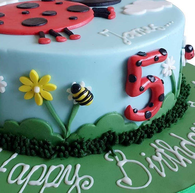 Ladybird Cake