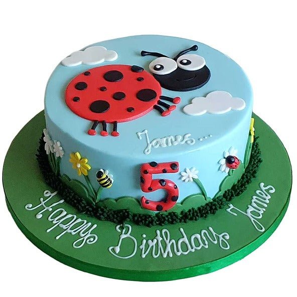 Ladybird Cake